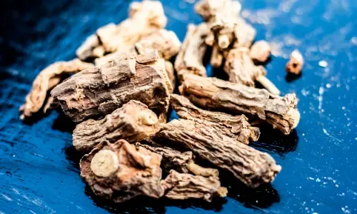 Sarsaparilla Root and Asparagus